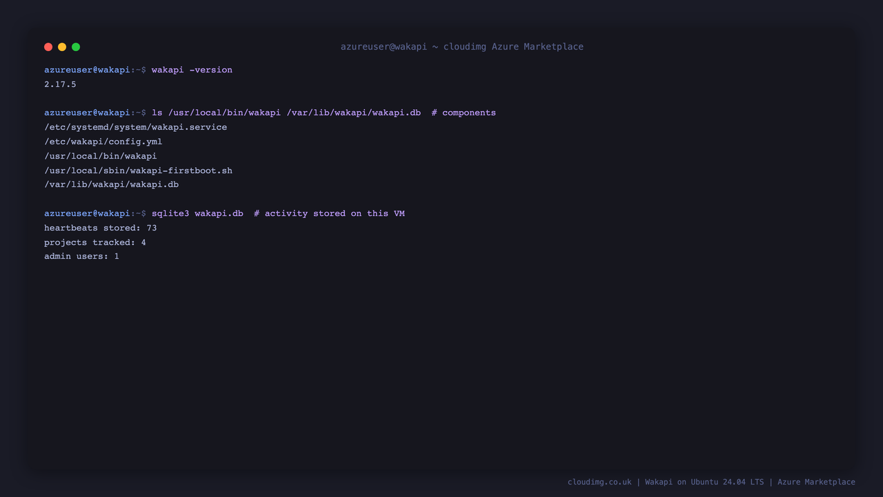 Wakapi reporting version 2.17.5, the installed component paths, and the count of heartbeats, projects and admin users stored in the SQLite database