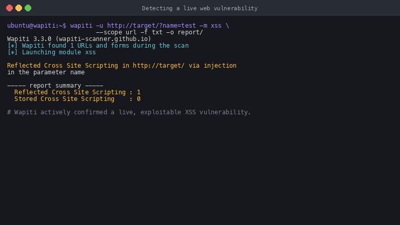Wapiti detecting a live web vulnerability