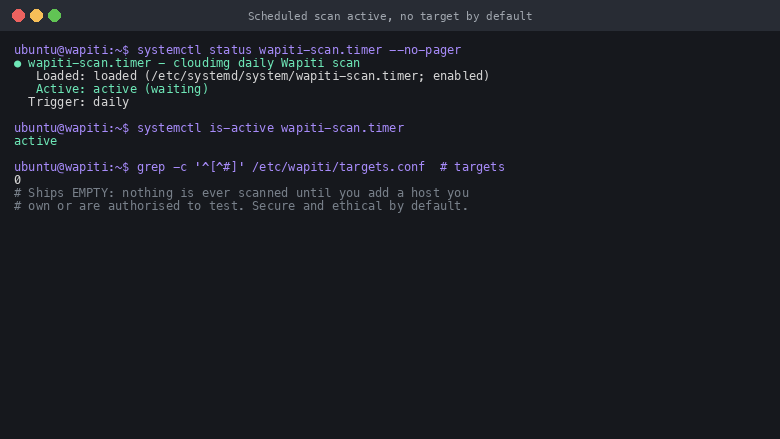 Scheduled scan active with no target by default