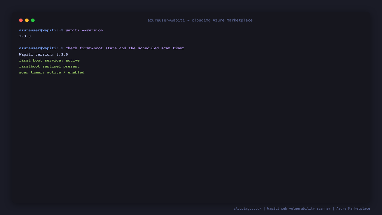 Wapiti version and the completed first boot service on Ubuntu 24.04