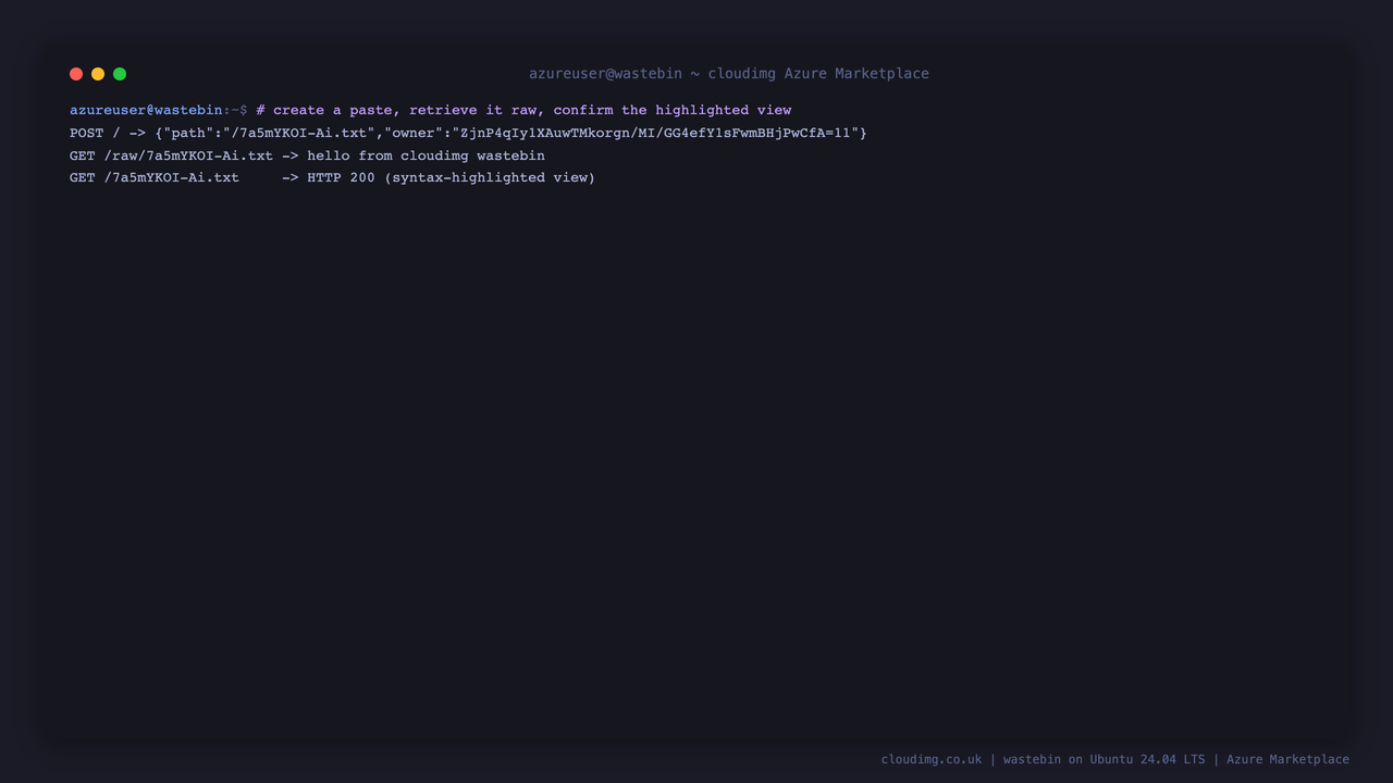 The JSON API round trip: POST a paste, receive its path and signed owner token, GET the raw content back, and confirm the syntax highlighted view returns HTTP 200