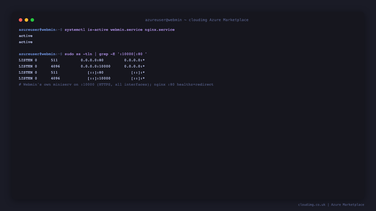 webmin.service and nginx.service both active, and Webmin listening on port 10000