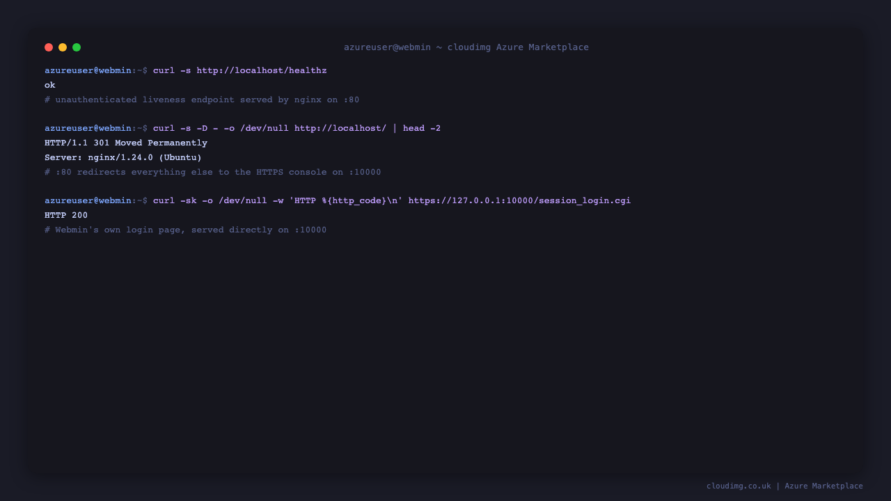 The nginx /healthz endpoint returning ok, and the port 80 redirect to the HTTPS console on port 10000