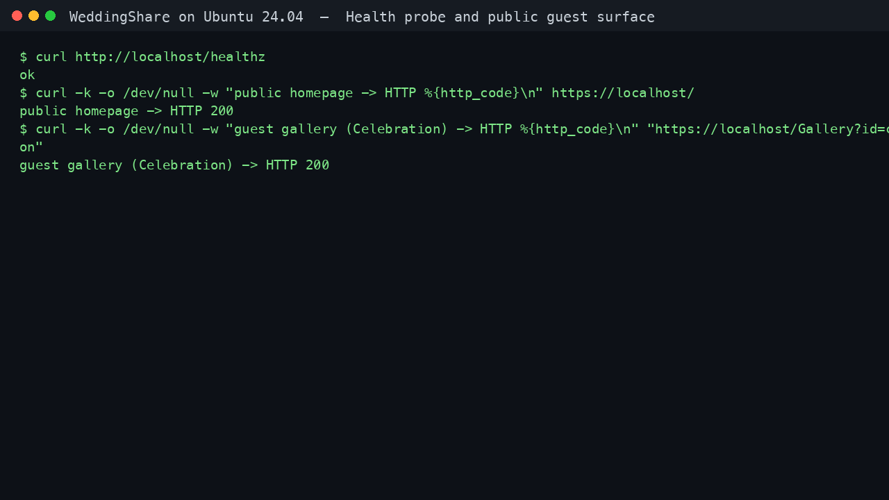 The health endpoint returning ok, and the public homepage and a guest gallery both returning HTTP 200 over TLS