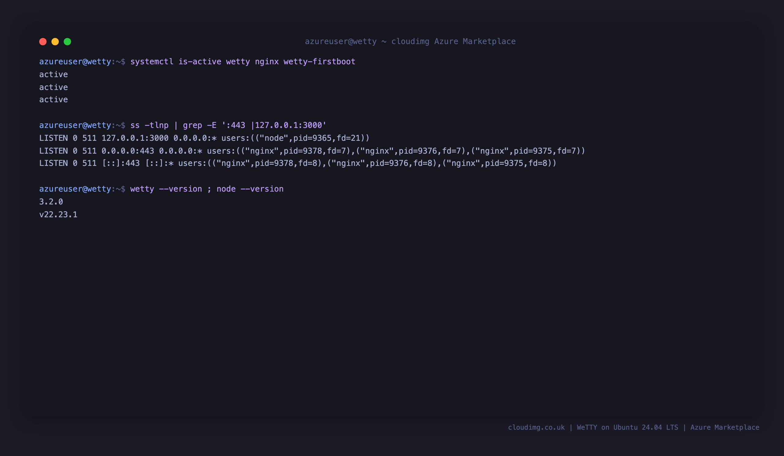 WeTTY, nginx and the first boot service all active, WeTTY bound to loopback 127.0.0.1:3000 and nginx listening on port 443, running WeTTY 3.2.0 on Node.js 22