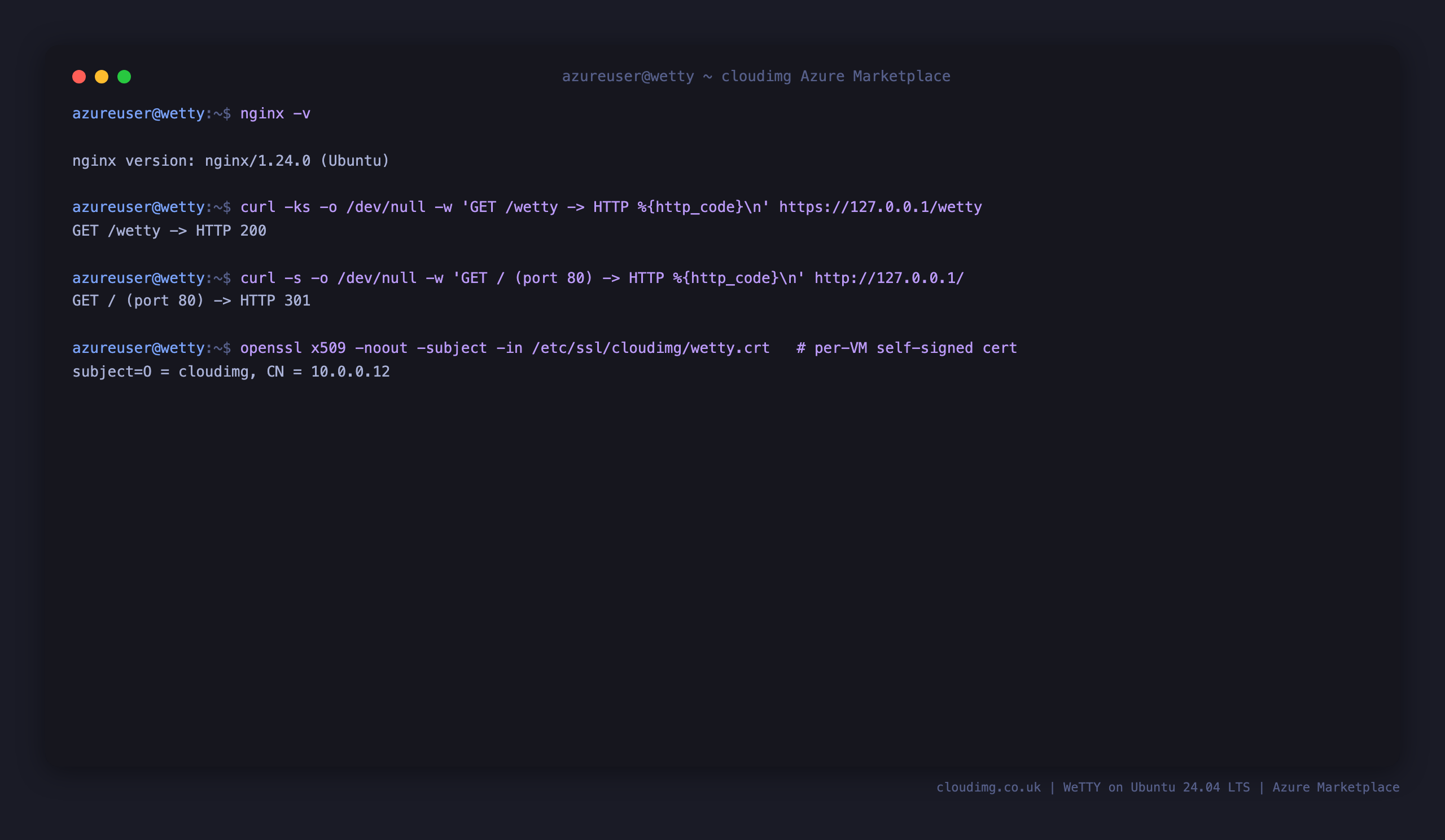 nginx serving WeTTY over HTTPS returning 200, the port 80 request returning a 301 redirect to HTTPS, and the per VM self signed certificate subject