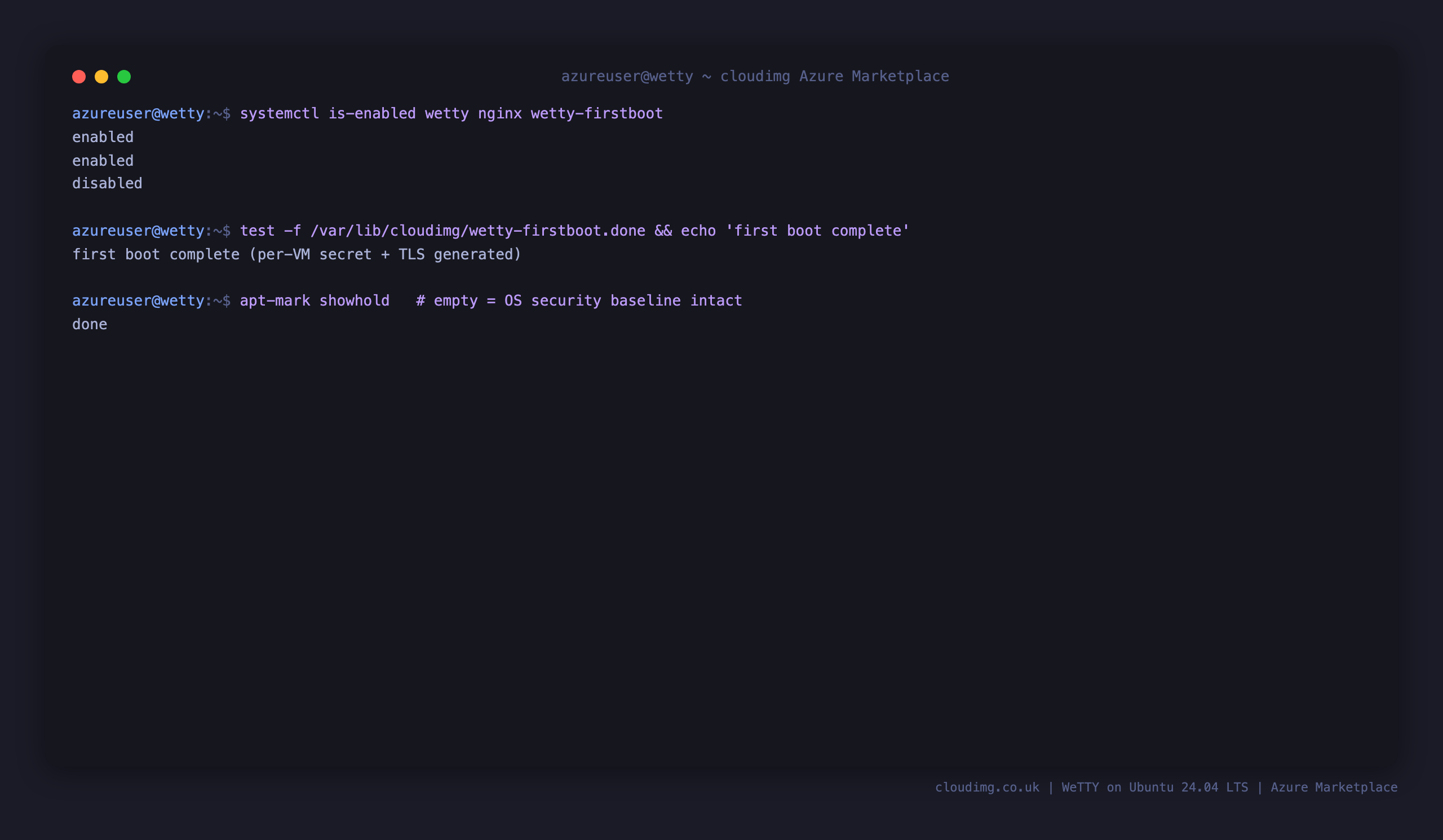 The WeTTY, nginx and first boot units enabled, the first boot marker present, and an intact OS patch baseline with no held packages