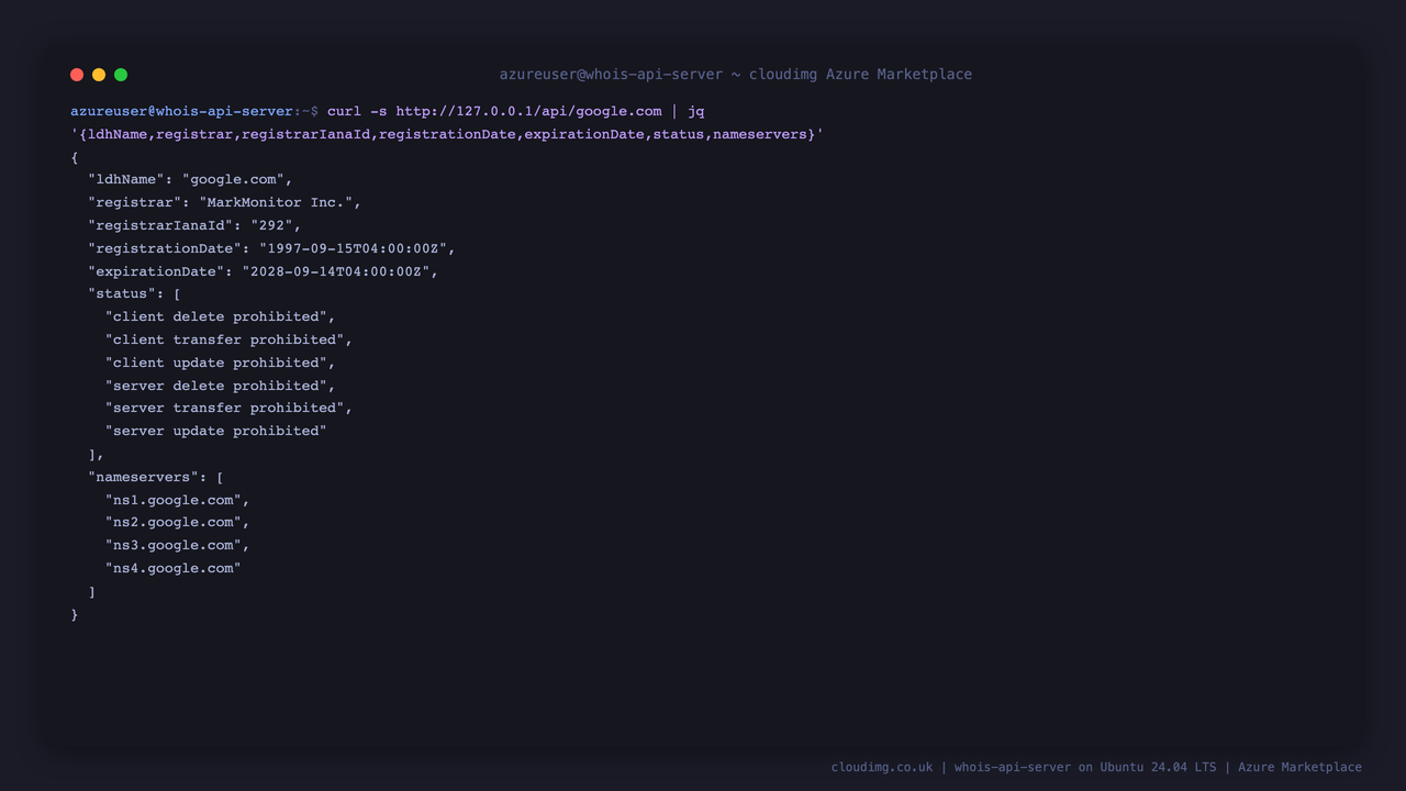 A real domain lookup through the API returning genuine RDAP registry data for google.com