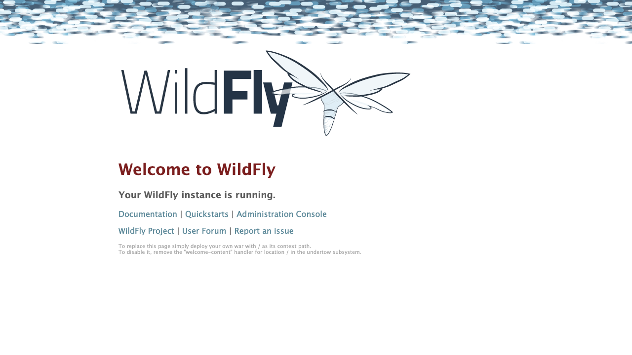 WildFly default welcome page on a freshly deployed cloudimg VM