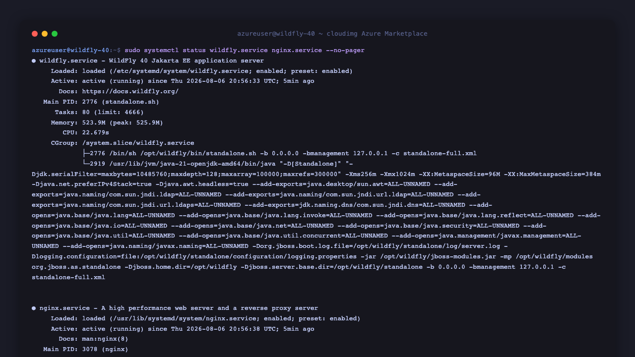 wildfly.service and nginx.service both active and running, showing the standalone-full profile and the tuned JVM heap flags