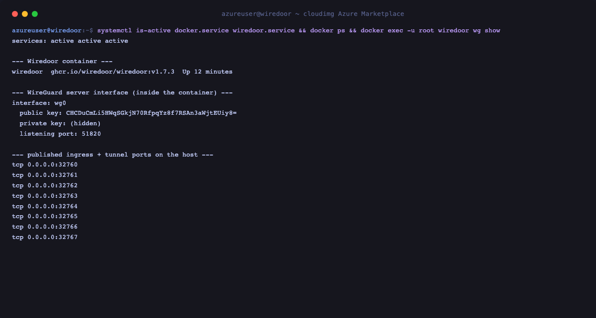 docker.service and wiredoor.service both active, the Wiredoor container running the digest-pinned v1.7.3 image, the WireGuard wg0 interface listening on port 51820 with a per-VM public key, and TCP 80/443 plus UDP 51820 published on the host