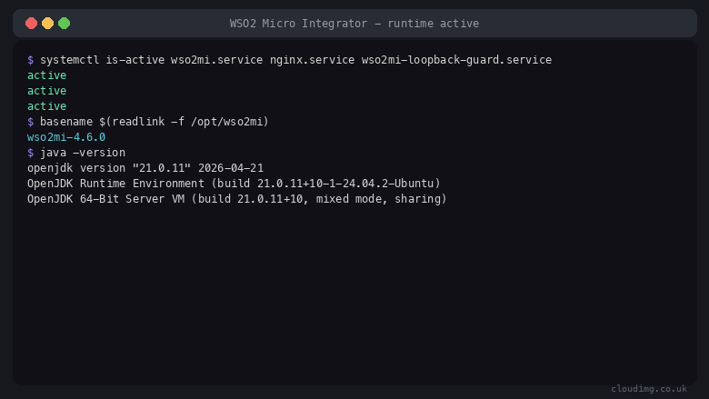 WSO2 Micro Integrator runtime active