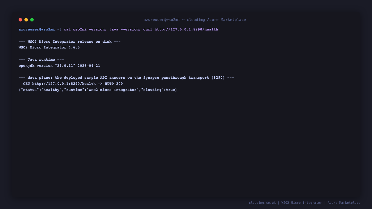 WSO2 Micro Integrator version, Java runtime and the data plane health API