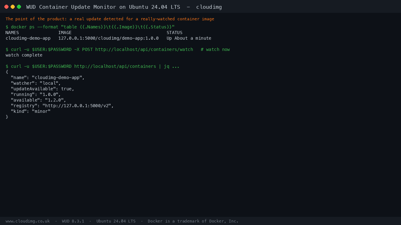 Terminal showing the running demonstration container, a forced watch, and the API reporting updateAvailable true with 1.0.0 running and 1.2.0 available
