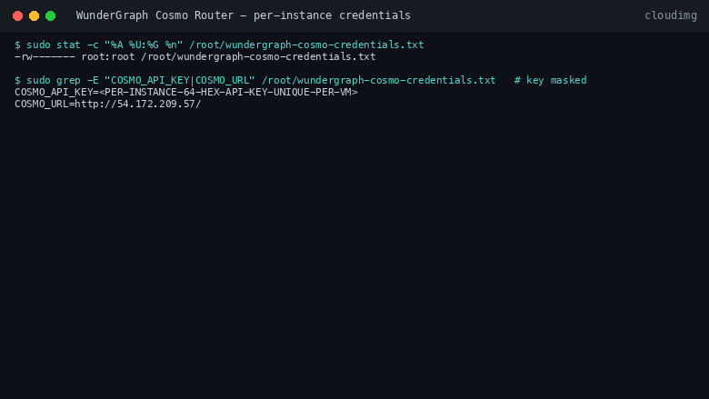 The wundergraph-cosmo-credentials.txt file at mode 0600 root root showing the per instance API key masked and the resolved public URL, with a note that the key is generated uniquely on first boot