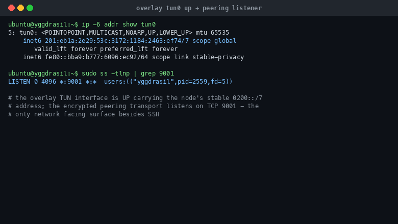 The tun0 overlay interface is UP and carries this node's stable 0200::/7 IPv6 address, and the encrypted peering transport is listening on TCP port 9001, the only network facing surface besides SSH