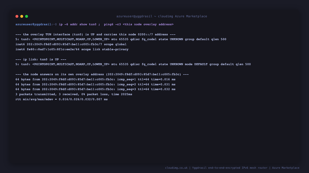 the ip command shows the tun0 overlay interface is UP and carries this node's 0200::/7 IPv6 address, and a ping to the node's own overlay address returns replies, confirming the encrypted overlay interface is live