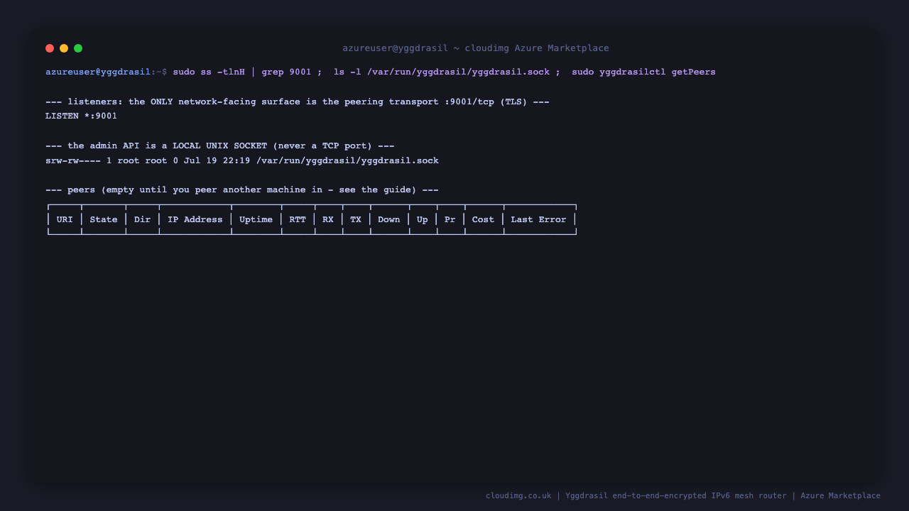 ss shows the node listening on port 9001 for the peering transport, the admin API is a local Unix domain socket at /var/run/yggdrasil/yggdrasil.sock owned by root and never a TCP port, and the yggdrasilctl getPeers table is empty until a peer is added
