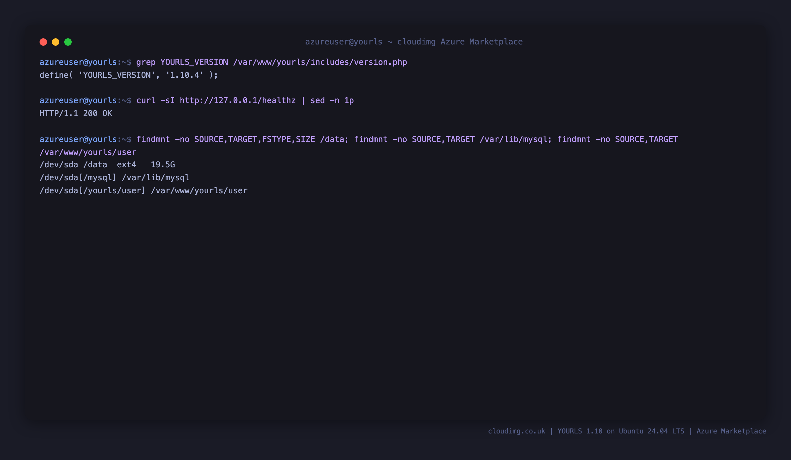 The installed YOURLS version 1.10.4, the healthz endpoint returning 200, and the ext4 data disk mounted at /data and bind mounted onto both the MariaDB datadir and the YOURLS user tree