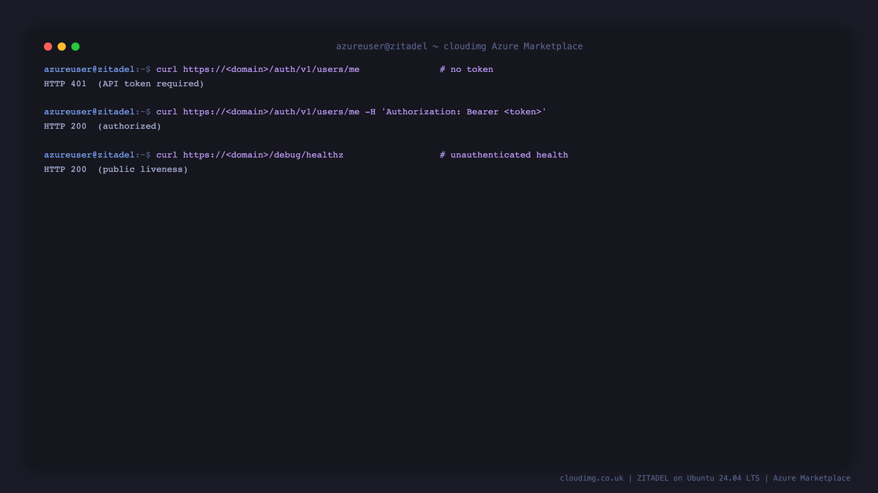 The API rejects requests with no token (401) and accepts only the per VM token (200); health stays public