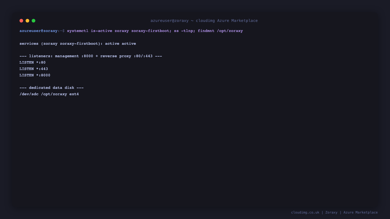 The zoraxy and zoraxy-firstboot services active, the management UI listening on port 8000, the reverse proxy on ports 80 and 443, and the dedicated ext4 data disk mounted at /opt/zoraxy