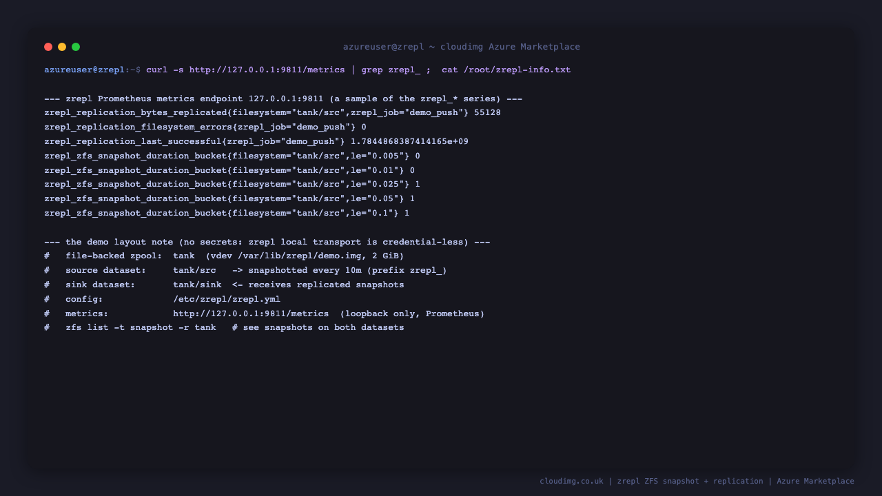 The zrepl Prometheus metrics endpoint on port 9811 returns zrepl replication bytes replicated, replication filesystem errors, replication last successful and zrepl zfs snapshot duration histogram series, alongside the demo layout note