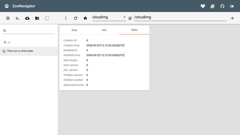 znode metadata