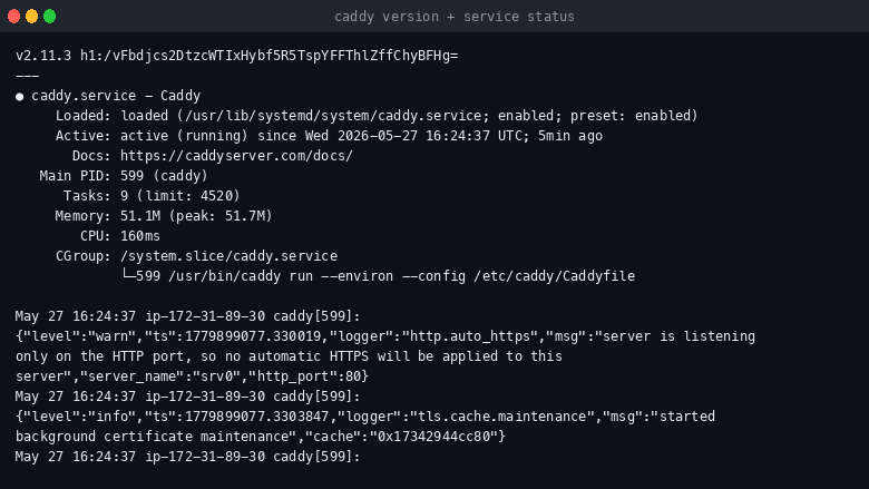 Caddy version and service status