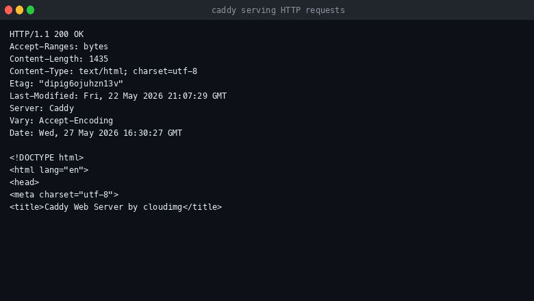 Caddy serving HTTP requests