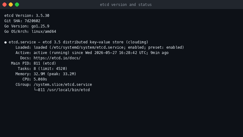 etcd version and service status