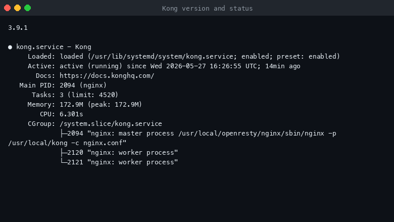Kong Gateway version and service status
