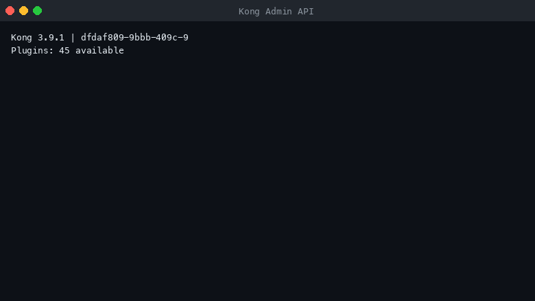 Kong Admin API response