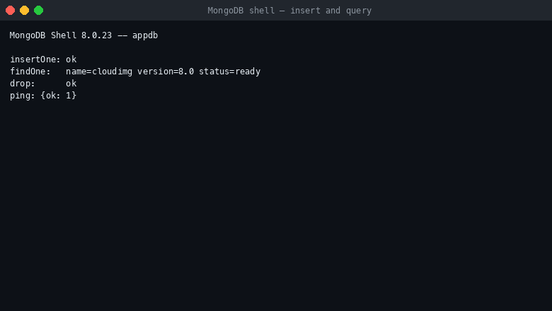 MongoDB shell insert and query