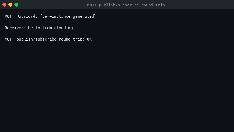 MQTT publish/subscribe round-trip