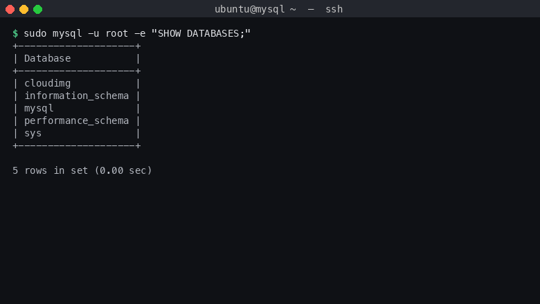 Databases on the new instance