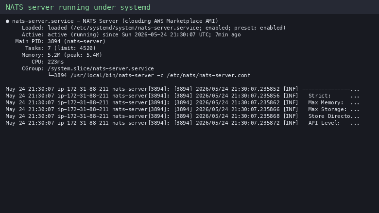 NATS server running under systemd