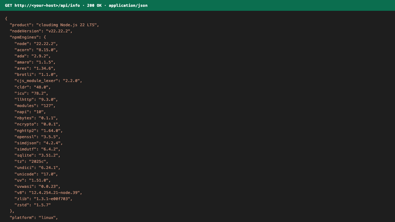 GET /api/info JSON response