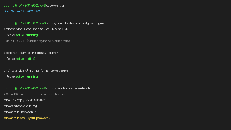 Odoo 19 running on Ubuntu 24.04