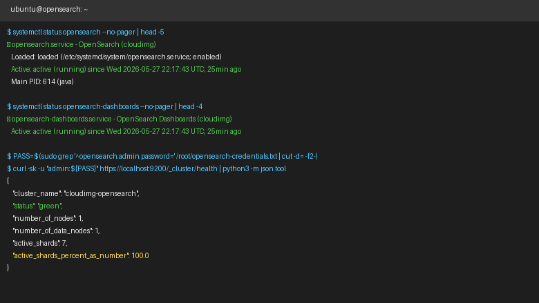Service status and cluster health