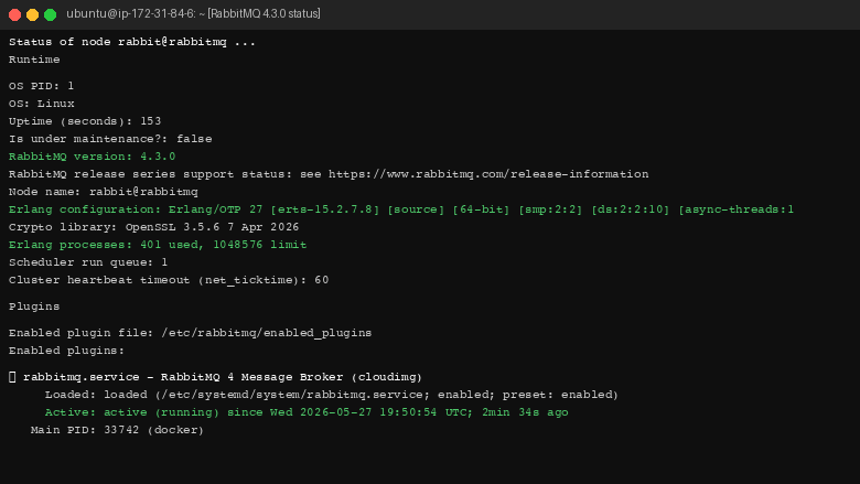 RabbitMQ service status
