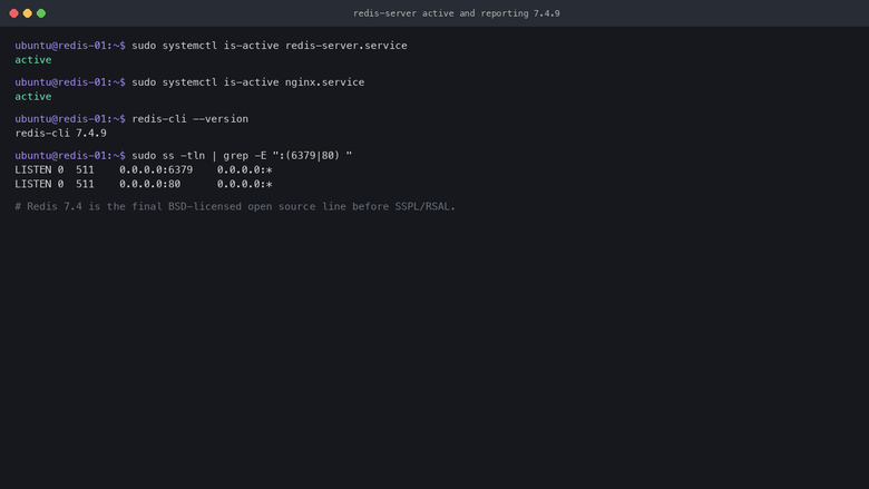 Redis 7.4 server active